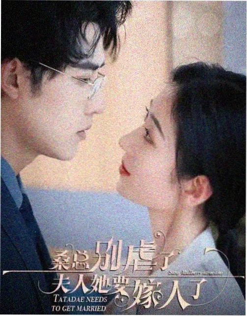 城南旧事簿剧集海报
